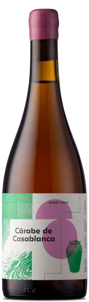 Pinot Gris 'Carabe De Casablanca'. Vinicola Atacalco