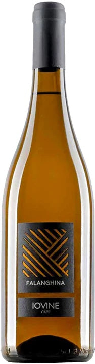 Falanghina IGT Campania, Iovine 2021