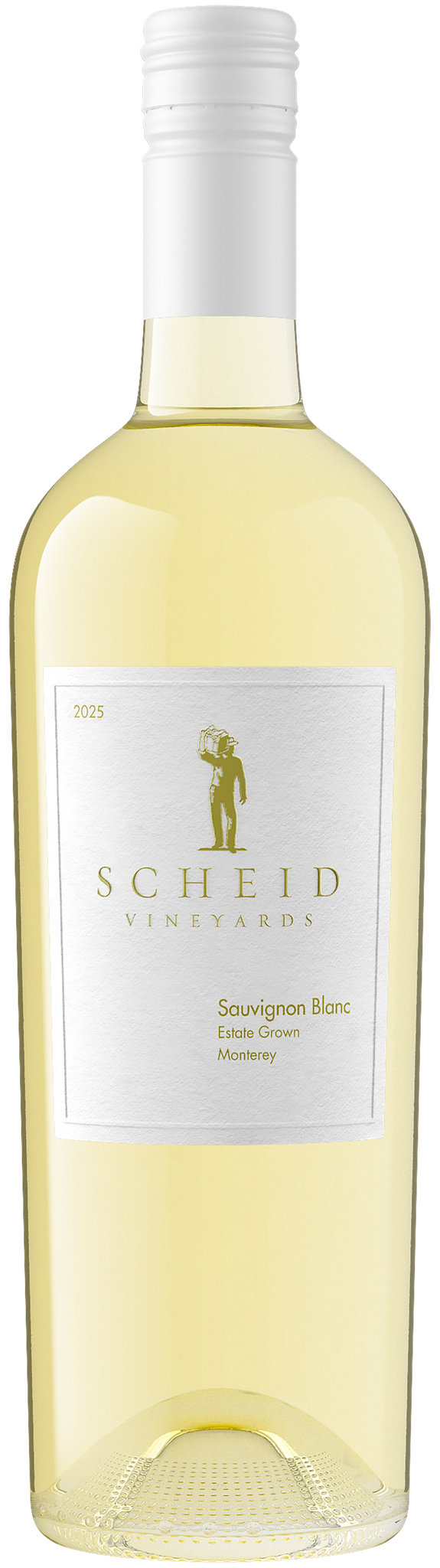 Scheid Sauvignon Blanc 2025