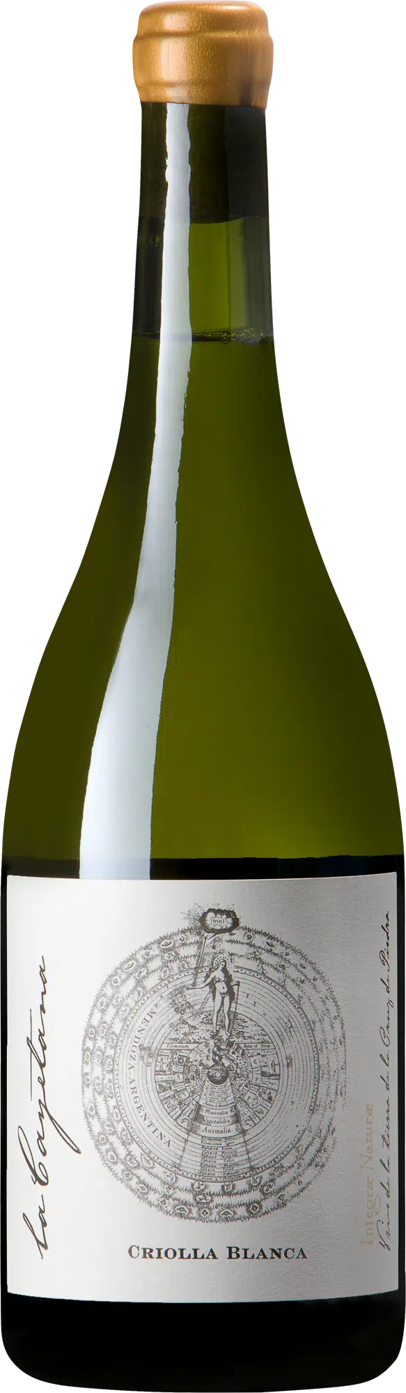 Criolla Blanca, La Cayetana