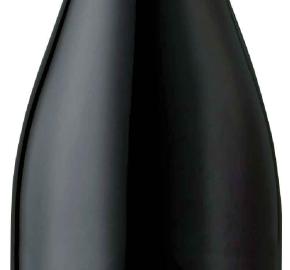 Alto Tierruca - Pinot Noir - Reserva 2024