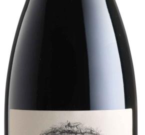 Zeni - Amarone - Della Valpolicella Classico 2022