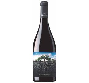Proyecto - La Garnacha Salvaje Del Moncayo 750 Ml
