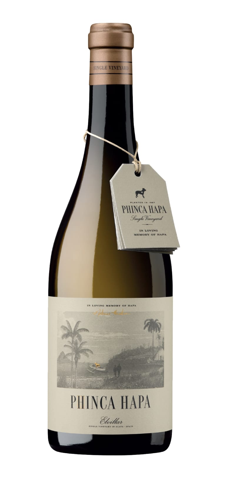 Bhilar 'Struggling Vines Phinca Hapa Blanco' 2019 2019