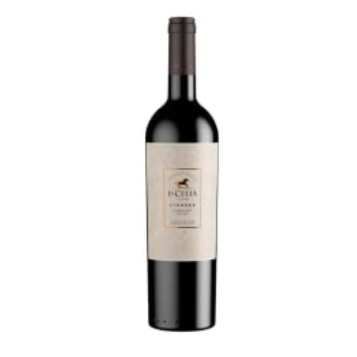 Cabernet Franc Pioneer Valle de Uco