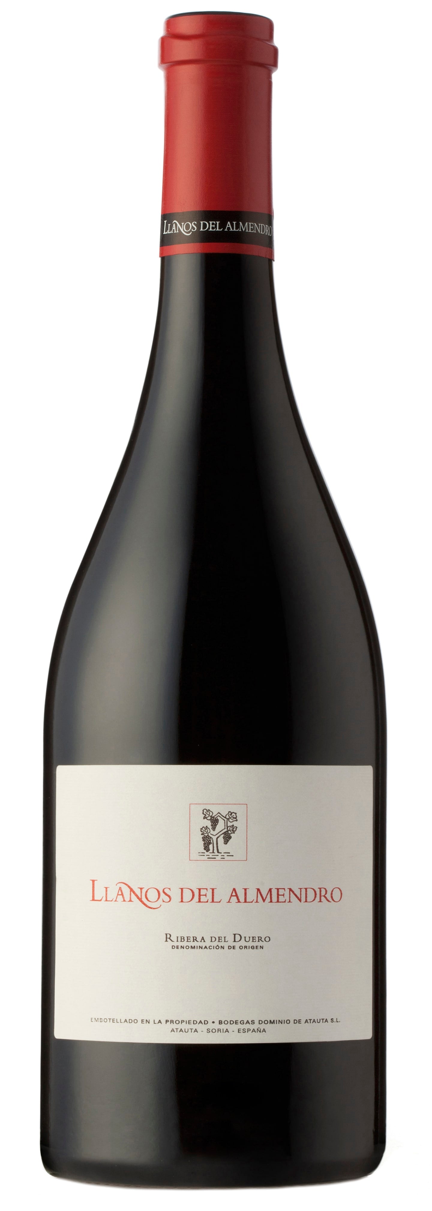 DOMINIO DE ATAUTA LLANOS DEL ALMENDRO 2010 (Case only)