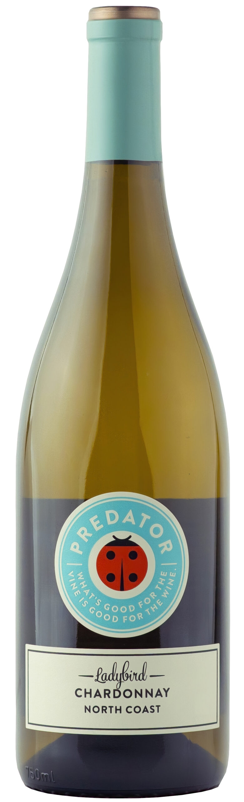 Predator Chardonnay 24 2024(Case Only)