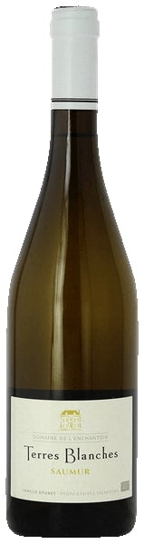 Saumur Champigny "Les Poyeux", Domaine Antoine Sanzay 2019