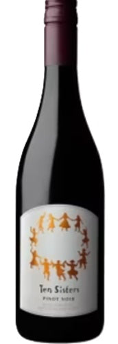 Maison Benoit Jules Meteorite Sparkling Gamay Pet Nat 2021