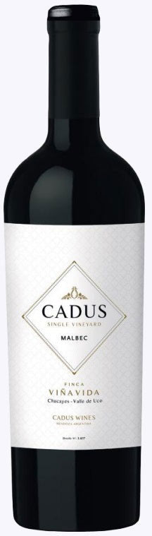 Malbec Finca Viña Vida Single Vineyard Los Chacayes