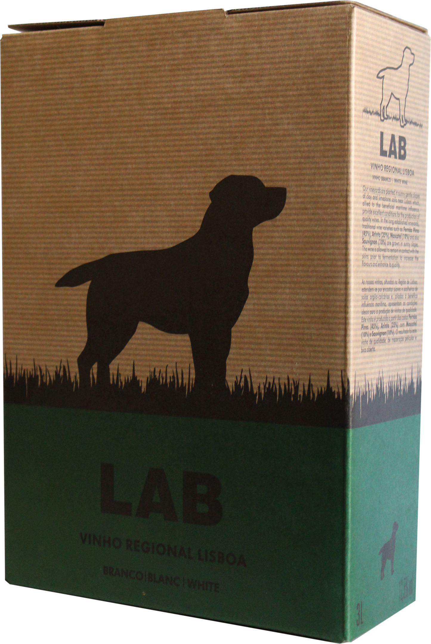 Casa Santos Lima Lab White (Bib) (Case Only)