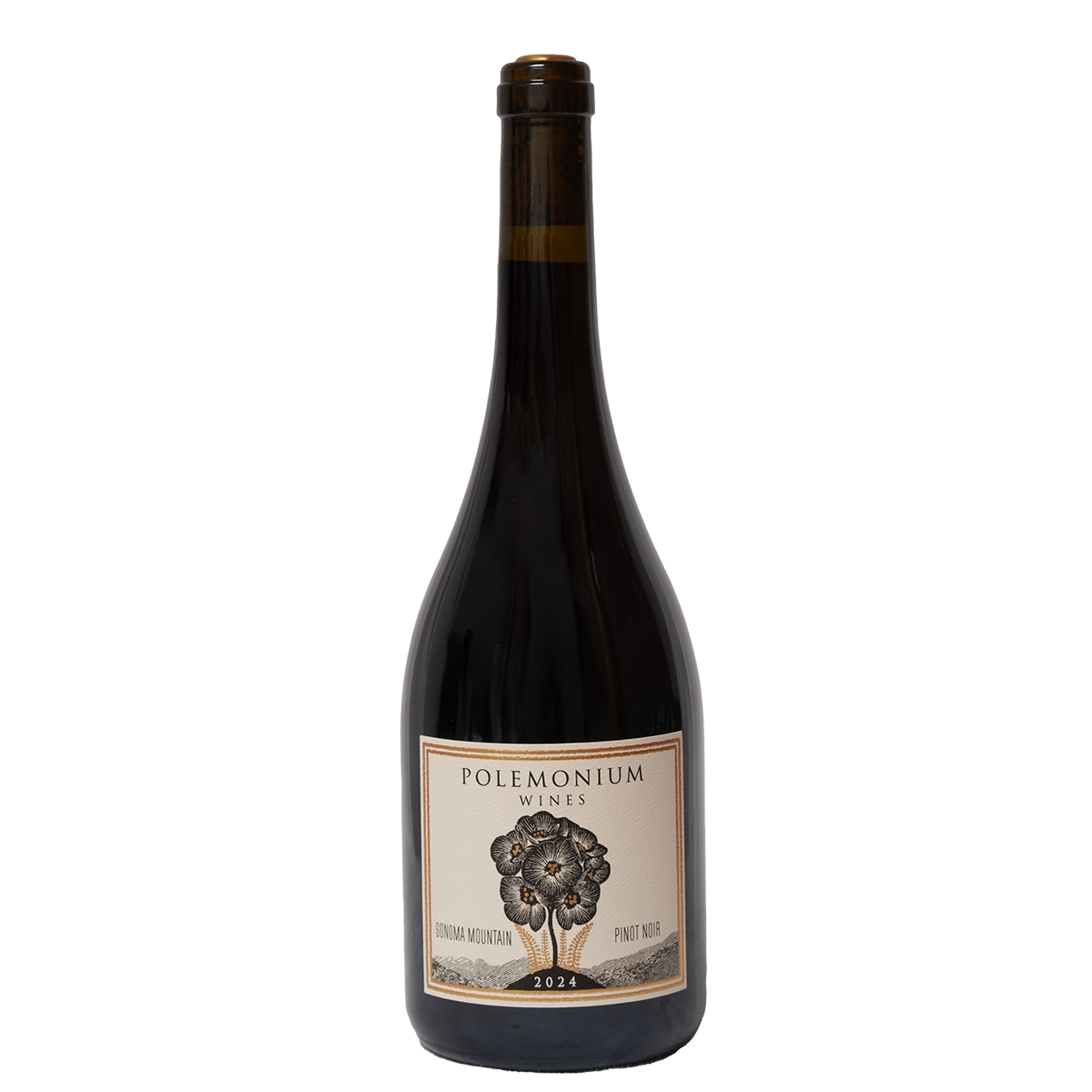 Polemonium Wines Sonoma Mountain Pinot Noir 2024
