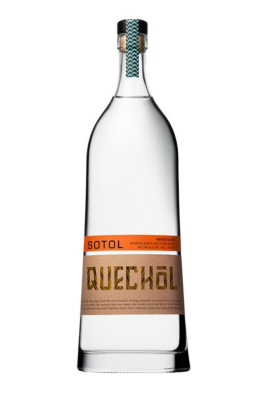 QUECHOL SOTOL WHEELERI