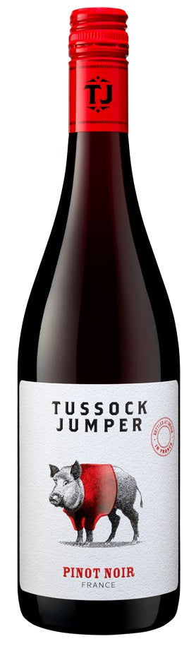 TUSSOCK JUMPER - FRANCE PINOT NOIR (Case only)