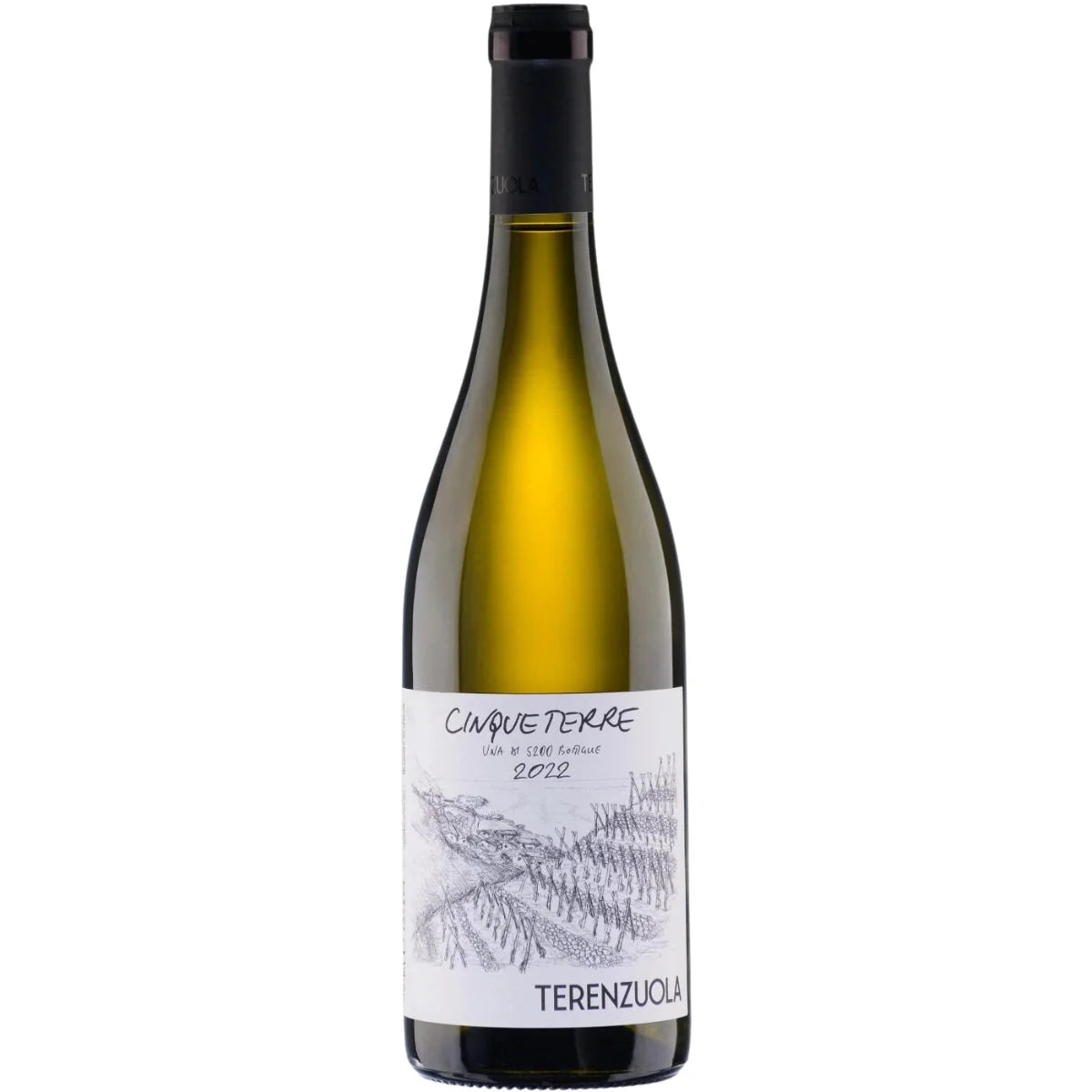 Cinque Terre Bianco, Terenzuola 2024