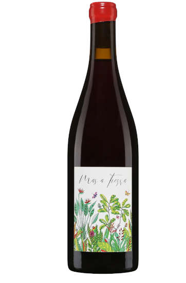 Domaine De La Petite Empreinte Pinot Noir Coteaux Bourguignons Mas A Tierra 2024
