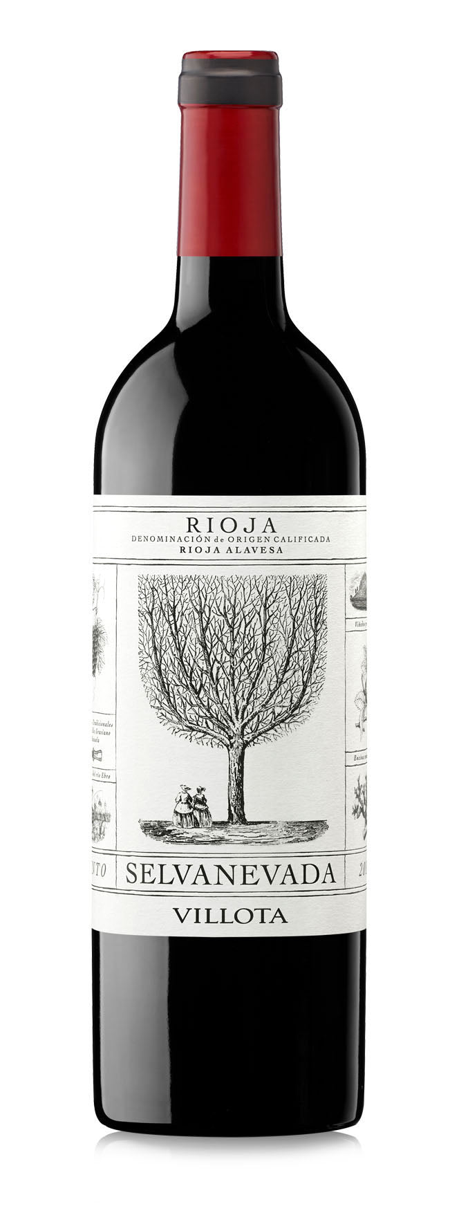 Villota Selvanevada Rioja Tinto