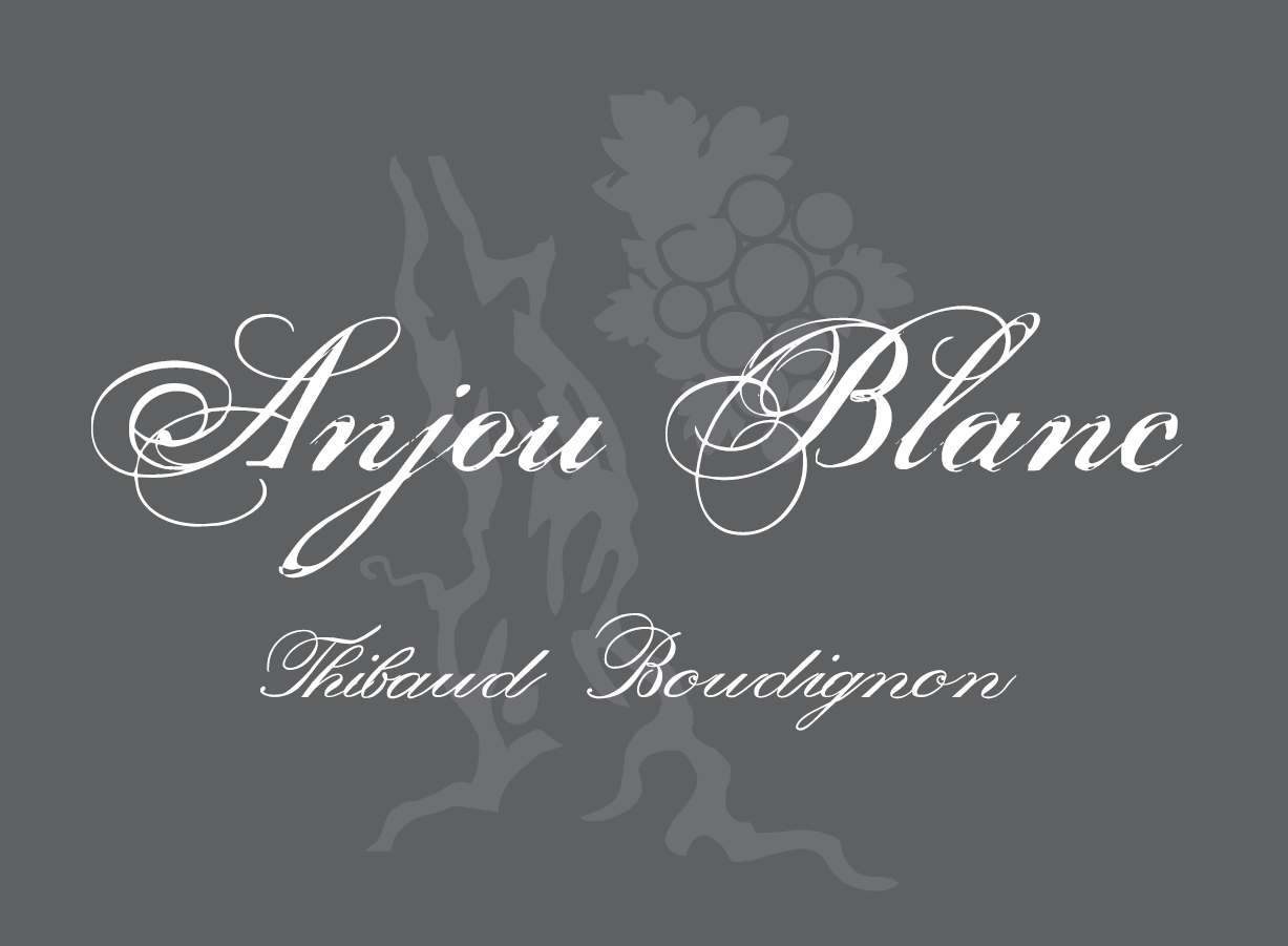Anjou Blanc, Thibaud Boudignon 2023