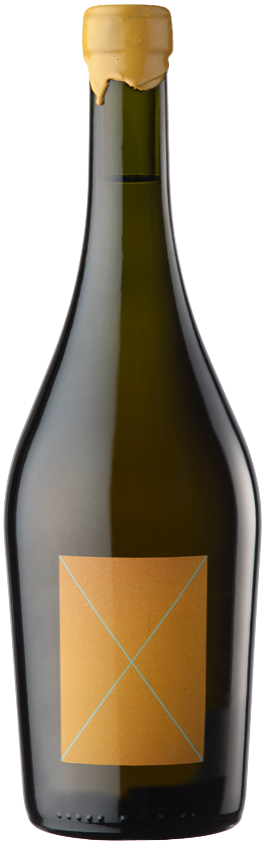 Barbera, Stella Crinita 2022