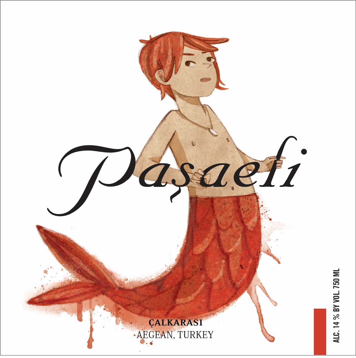 Calkarasi 'Merman', Pasaeli