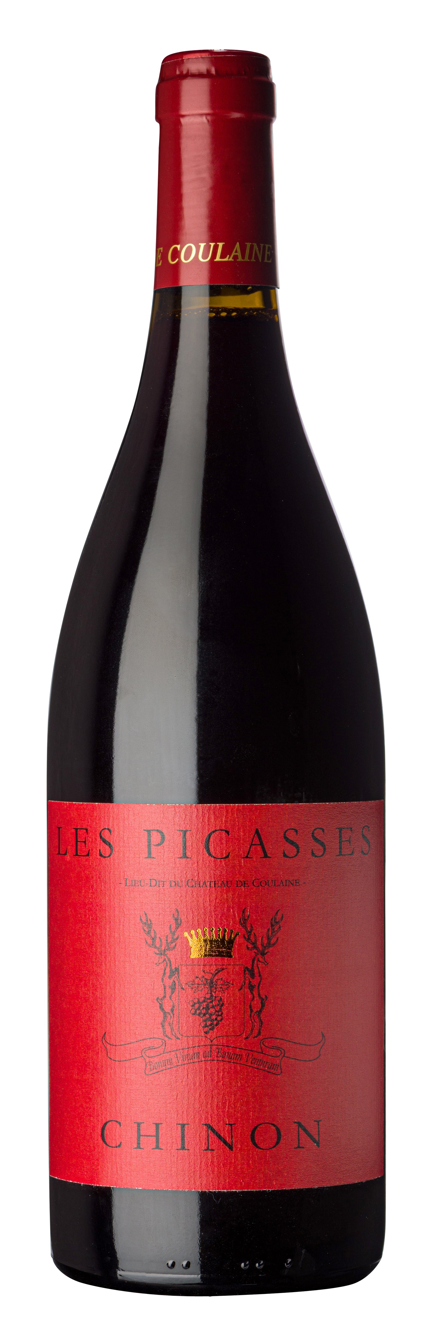 Chinon "Les Picasses", Chateau de Coulaine