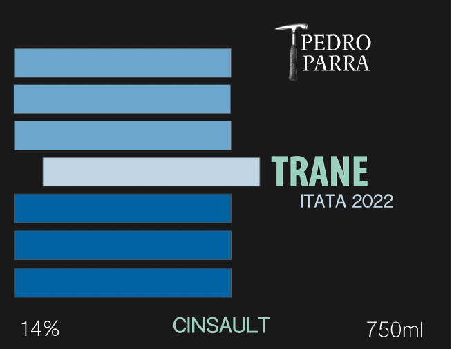 Cinsault 'Trane', Pedro Parra 2023