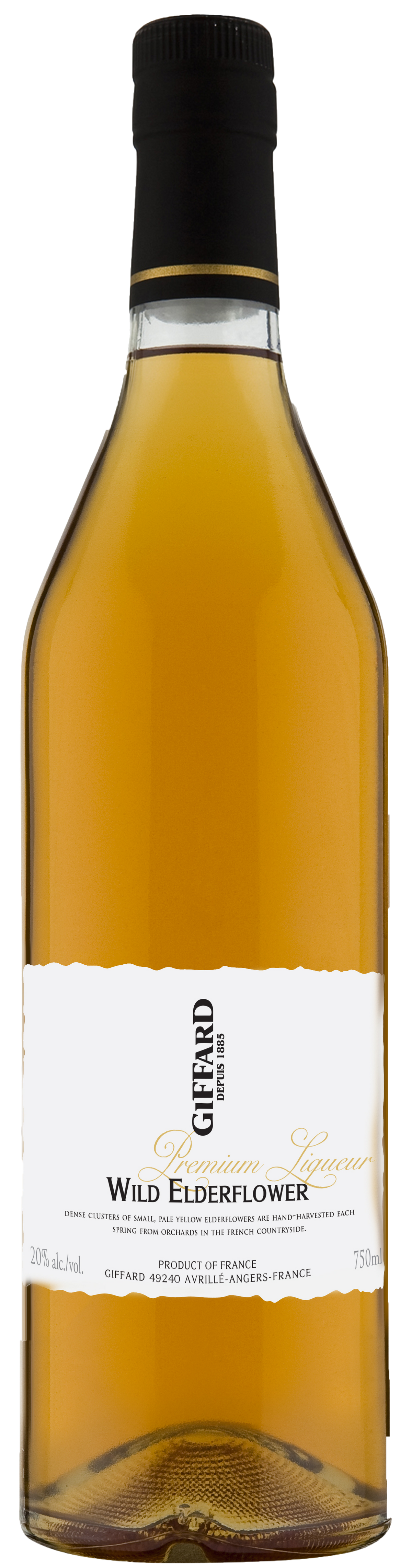 Wild Elderflower (Fleur De Sureau Sauvage), Giffard