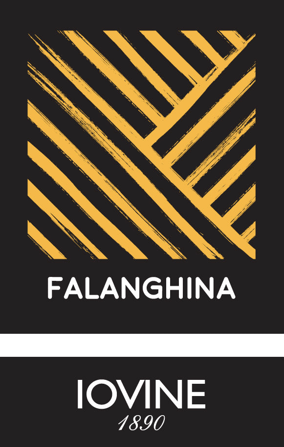 Falanghina IGT Campania, Iovine