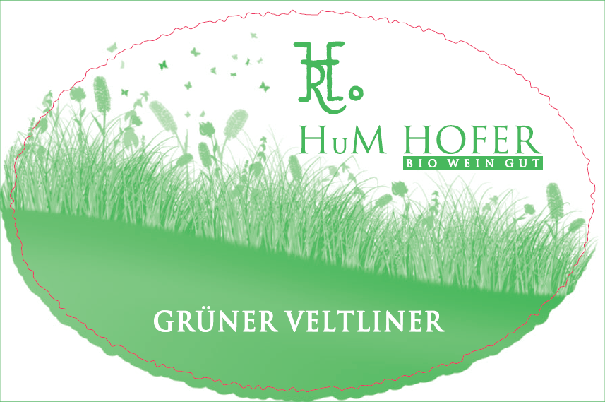 Gruner Veltliner, Hofer 2023