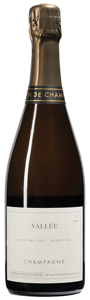 Monts Fournois 13 Vallee Grand Cru Ay 2013