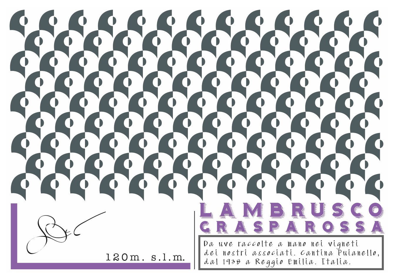 Lambrusco Grasparossa 'Colli di Scandiano e di Canossa', Cantina Puianello