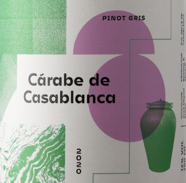 Pinot Gris 'Carabe De Casablanca'. Vinicola Atacalco