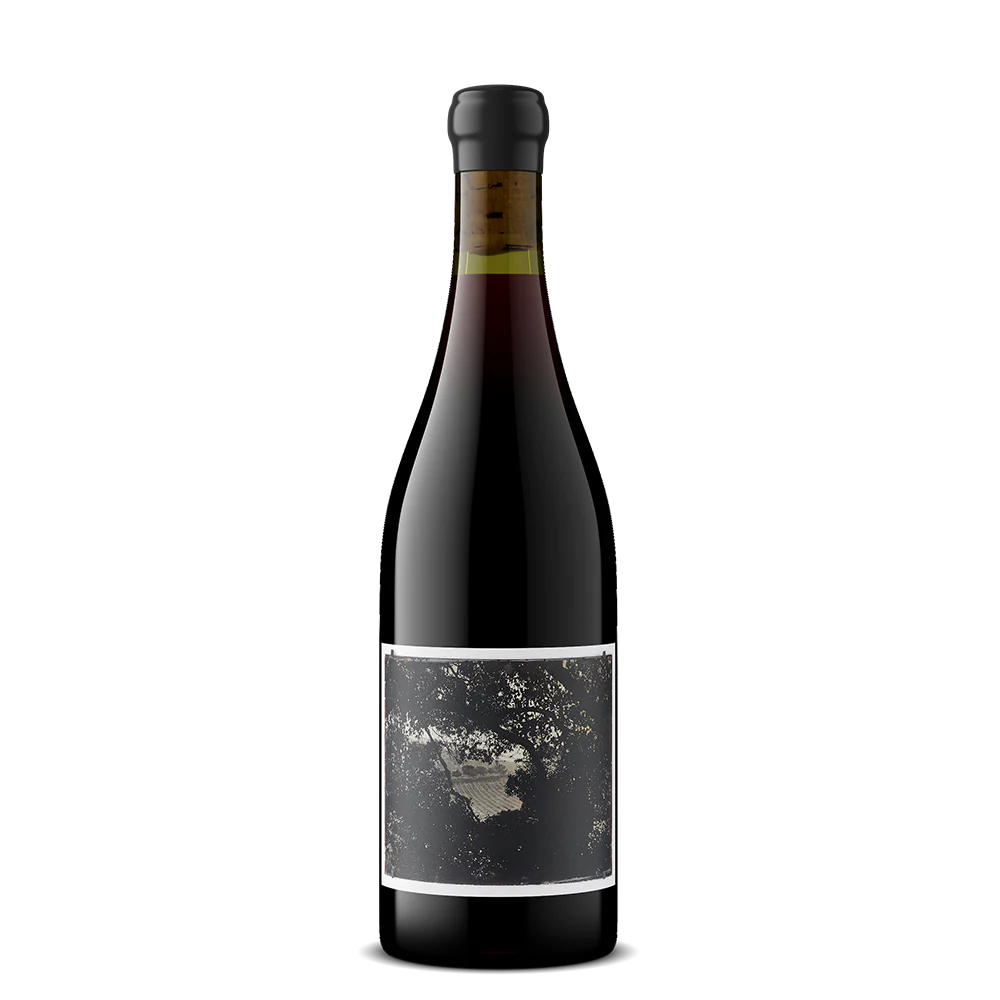 Pinot Noir 'White Buffalo Land Trust', Sandhi 2023
