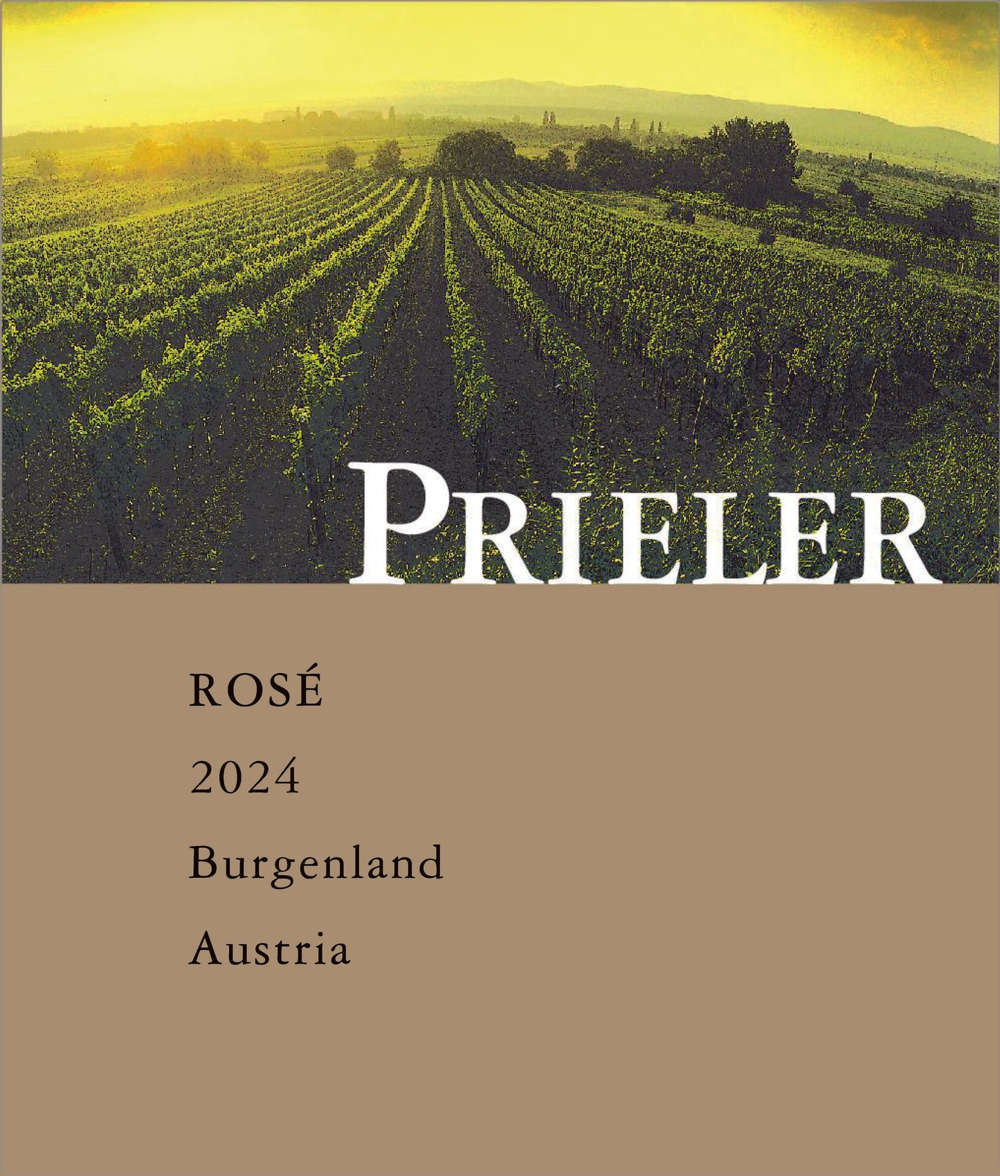 Rose, Prieler 2024