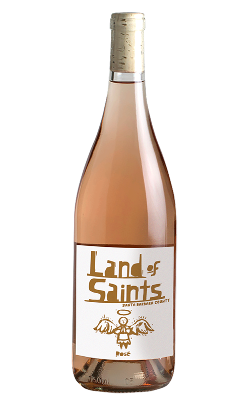 Rose 'SLO Coast', Land of Saints 2024