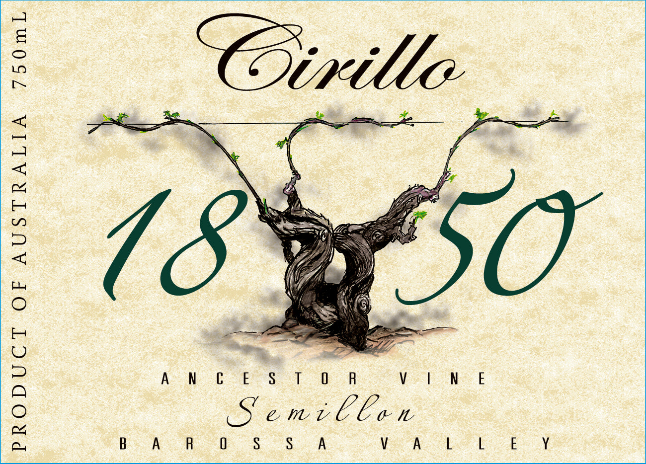 Semillon 'Ancestor Vine', Cirillo 2020