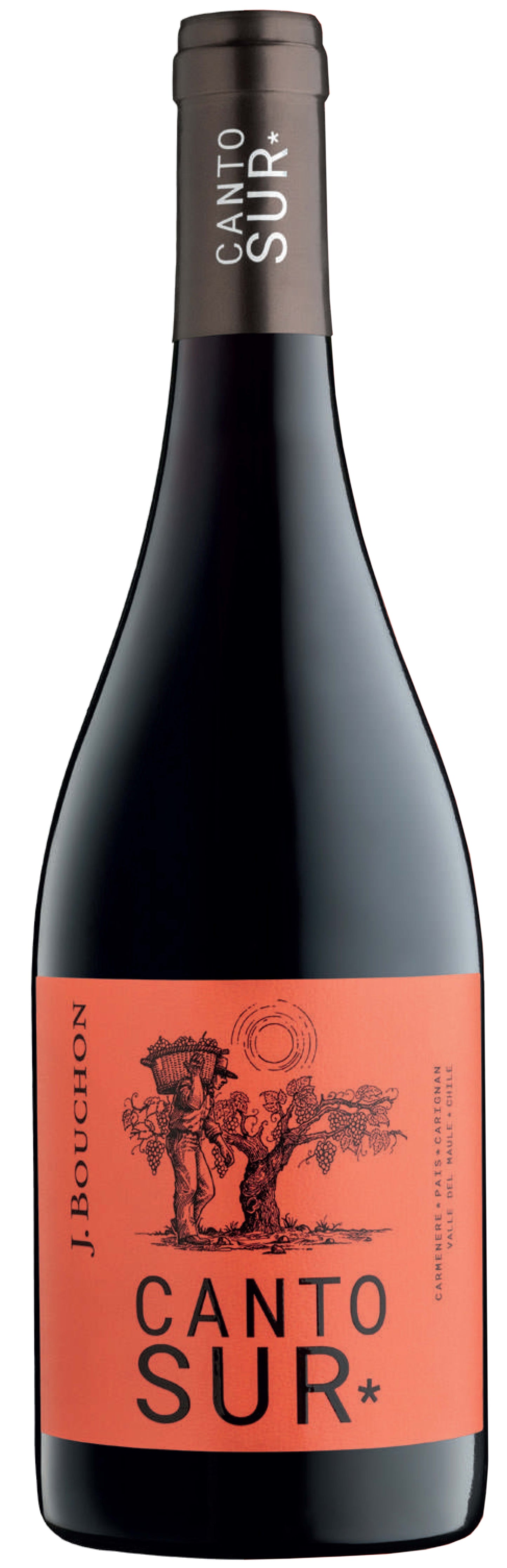 J. Bouchon Canto Sur Maule 2020