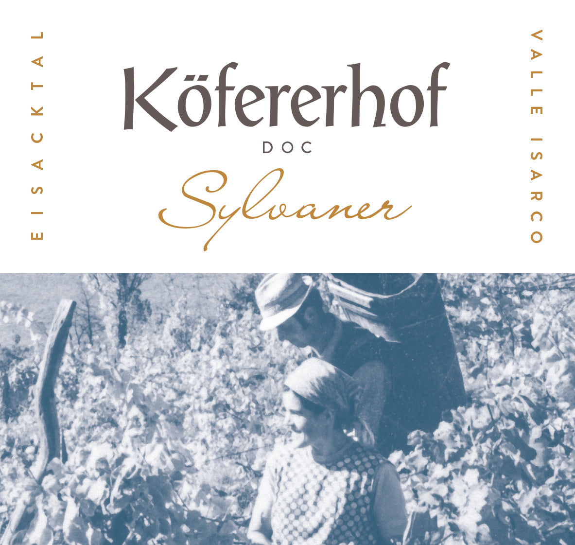Sylvaner Valle Isarco, Kofererhof