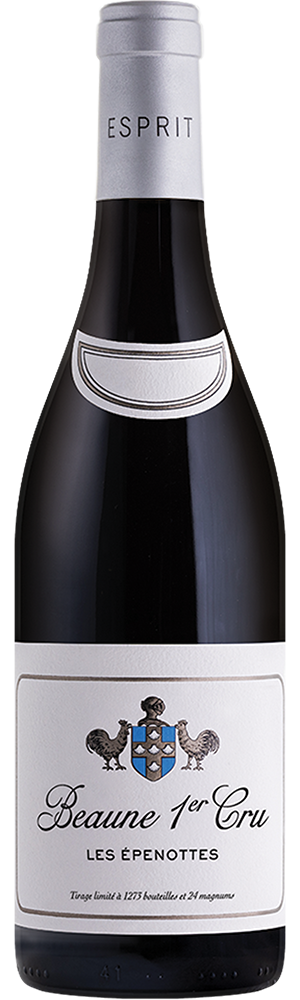 Domaine Leflaive 21 Esprit Beaune 1er Cru Les Epenottes 2021