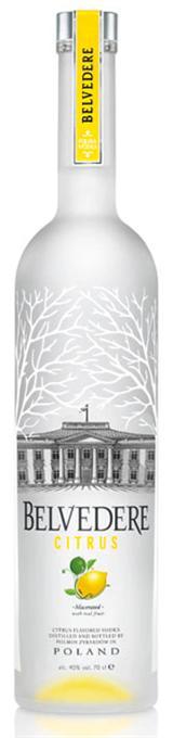 Belvedere Vodka Citrus