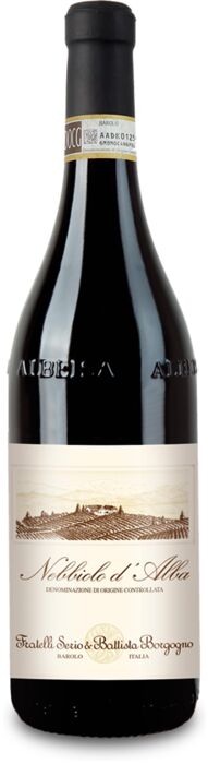 Barbera d'Alba Superiore, S & B Borgogno 2017