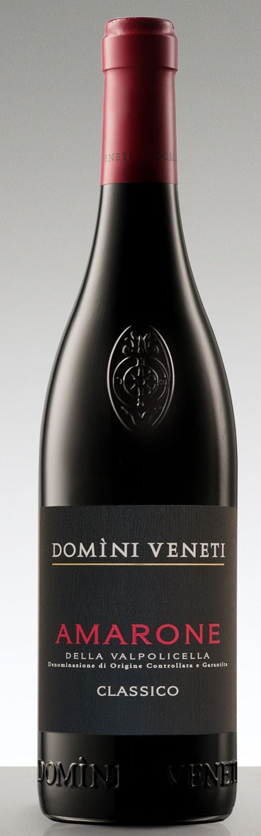 Domini Veneti Amarone della Valpolicella Classico 2013