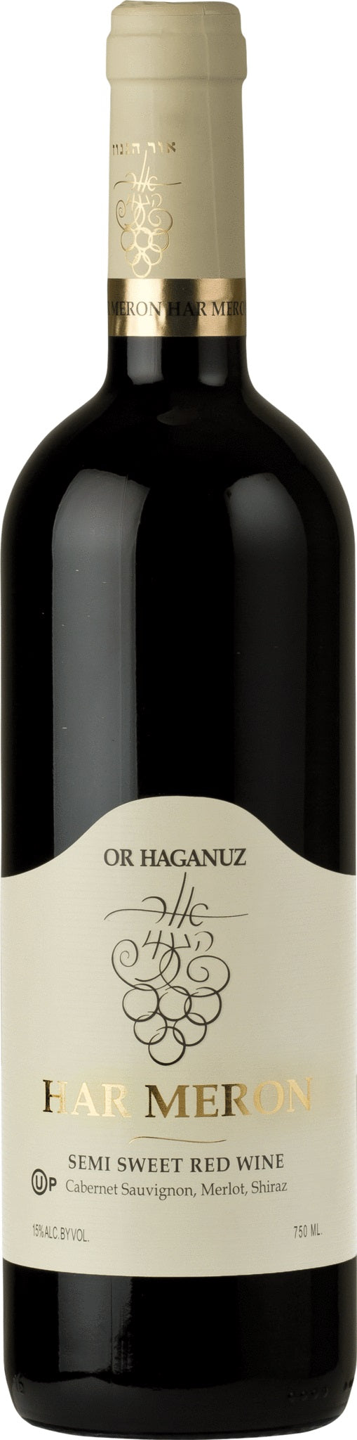 OR Haganuz Meron 2013