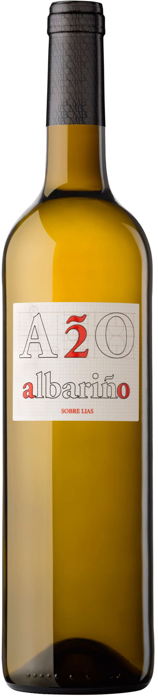 Bodega Castro Martin Albarino A2O 2019