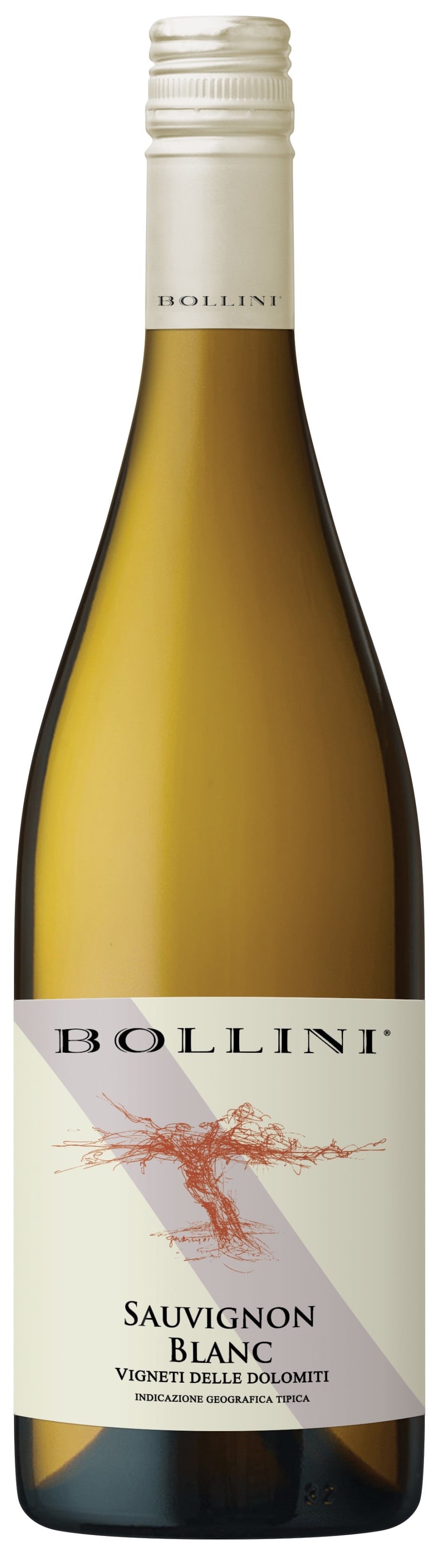 Bollini Sauvignon Blanc 2019