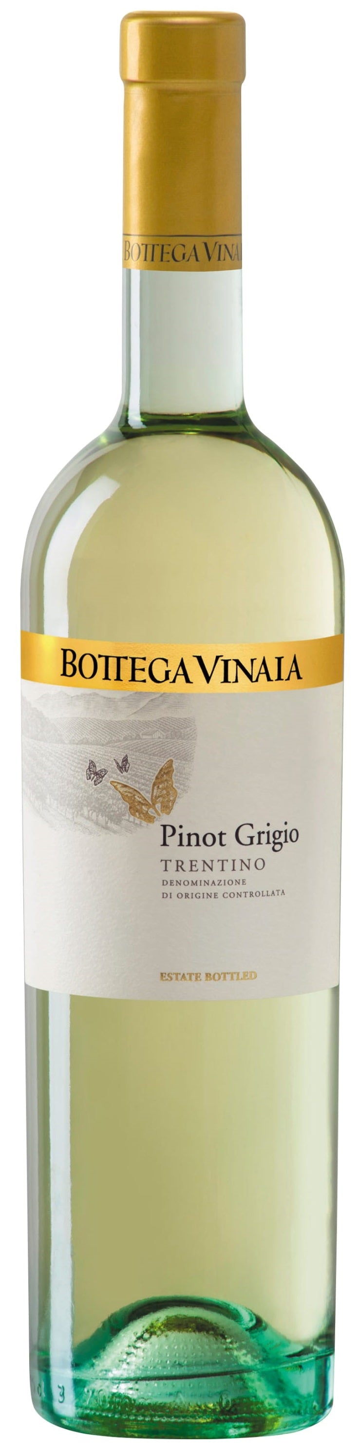 Bottega Vinaia Pinot Grigio 2020
