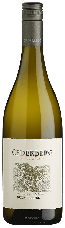 Cederberg Bukettraube 2020