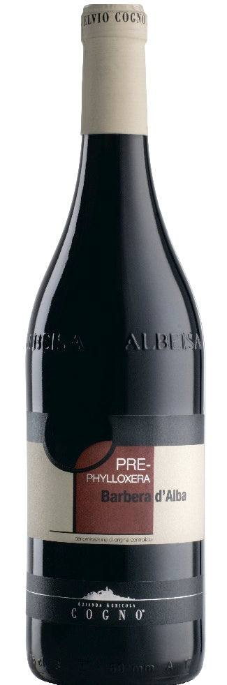 Elvio Cogno 21 Barbera Pre Phylloxera