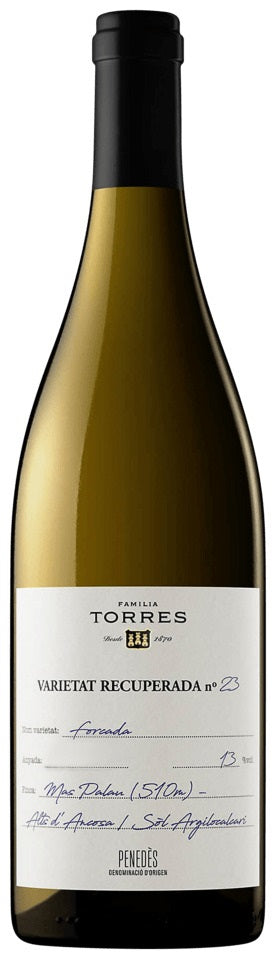 Familia Torres 19 Forcada