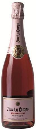 Juve Y Camps Cava Pinot Noir Brut Rose